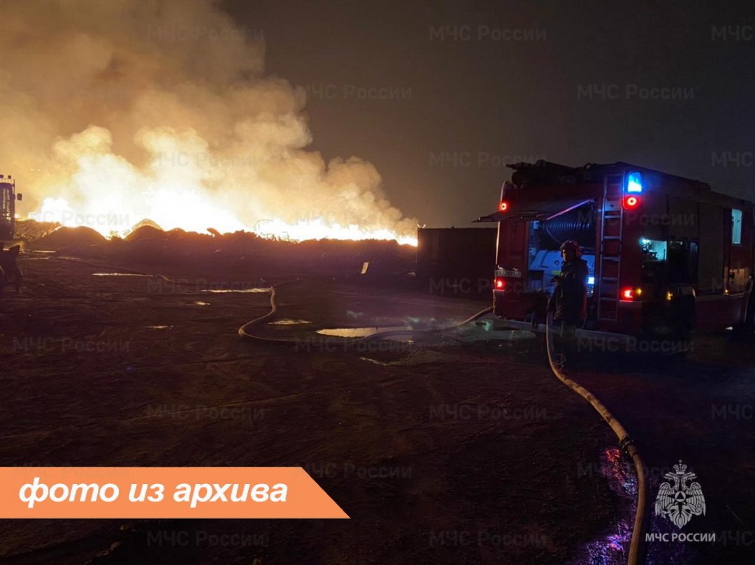 Пожарно-спасательное подразделение Ленинградской области ликвидировало пожар в Кингисеппском районе