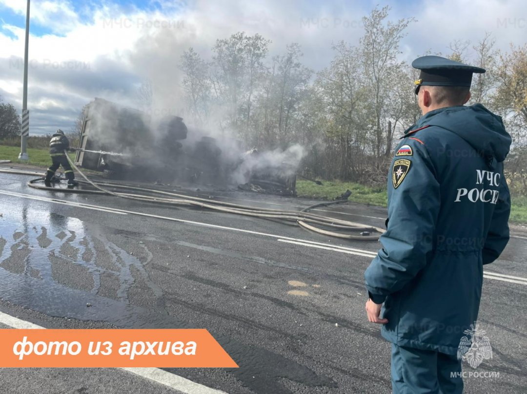 Пожарно-спасательное подразделение Ленинградской области ликвидировало пожар в Кингисеппском районе