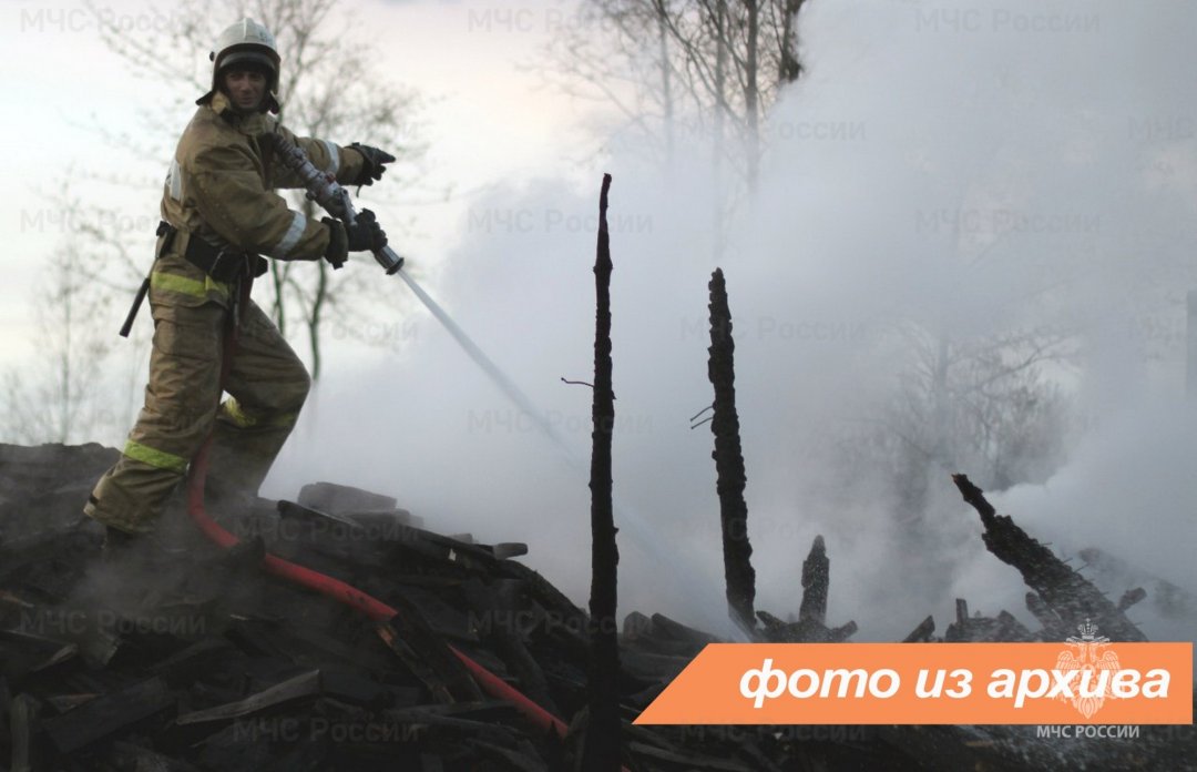 Пожарно-спасательное подразделение Ленинградской области ликвидировало пожар в Кингисеппском районе