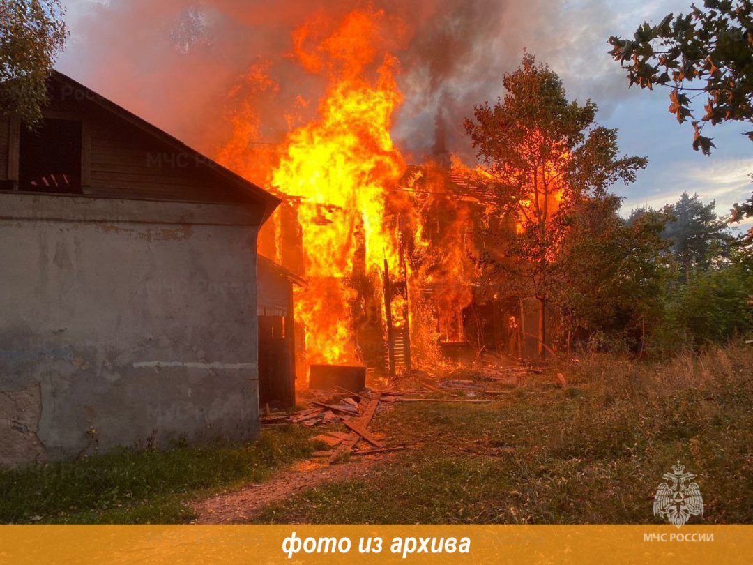 Пожарно-спасательные подразделения Ленинградской области ликвидировали пожар в Кингисеппском районе