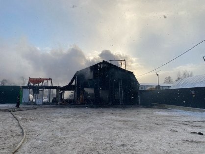 В Кингисеппском районе по факту пожара в п. Усть-Луга возбуждено уголовное дело